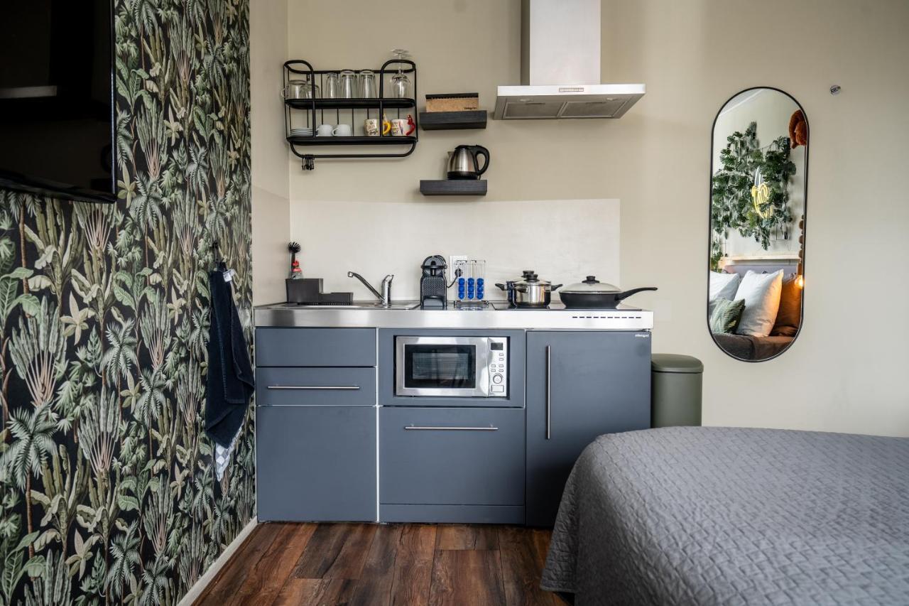 The Lion King - 6 Person Linked Apartment With Roof Terrace Groningen Eksteriør bilde